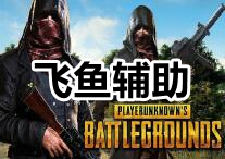 PUBG 飞鱼 辅助