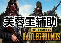 PUBG 芙蓉王 辅助