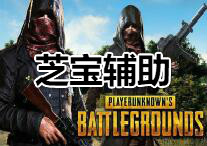 PUBG 芝宝 辅助